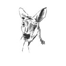 un animal esconde algo